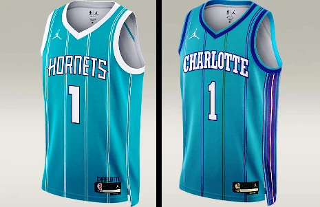 Charlotte Hornets jersey